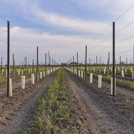 Saranto, Maison Du Charme - La Tua Oasi In Emilia 3* Carpi