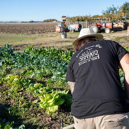 Saranto, Maison Du Charme - La Tua Oasi In Emilia Vendégház 3*