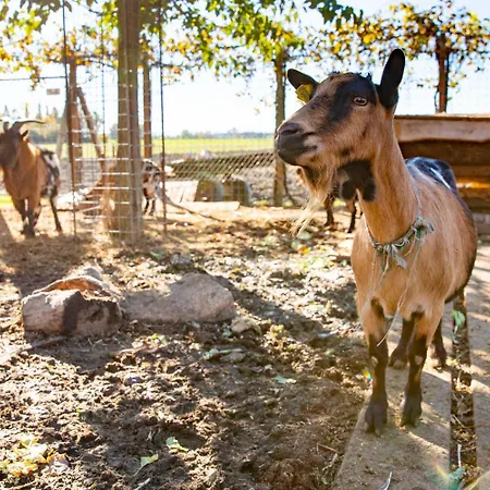 Gasthuis Saranto, Maison Du Charme - La Tua Oasi In Emilia Carpi
