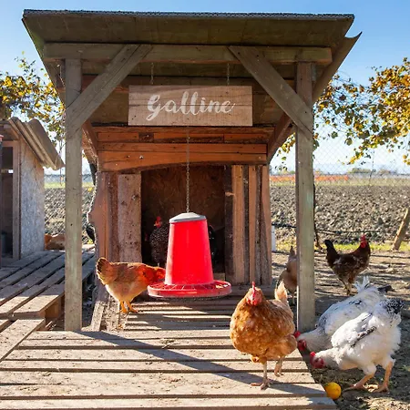 Gasthuis Saranto, Maison Du Charme - La Tua Oasi In Emilia Carpi