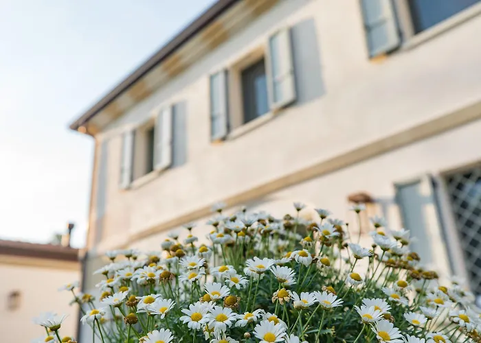 Saranto, Maison Du Charme - La Tua Oasi In Emilia Konukevi 3*