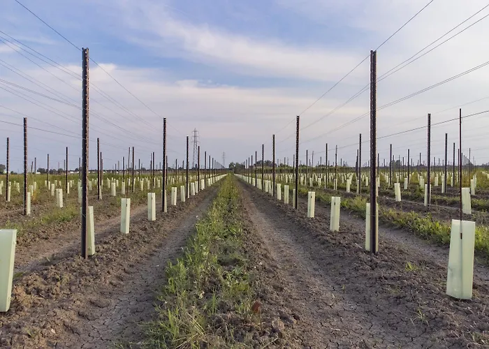 Saranto, Maison Du Charme - La Tua Oasi In Emilia 3* Carpi