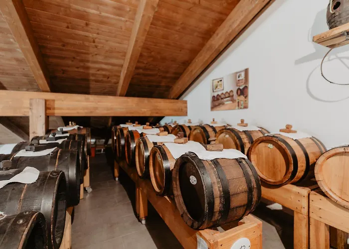 Gæstehus Saranto, Maison Du Charme - La Tua Oasi In Emilia