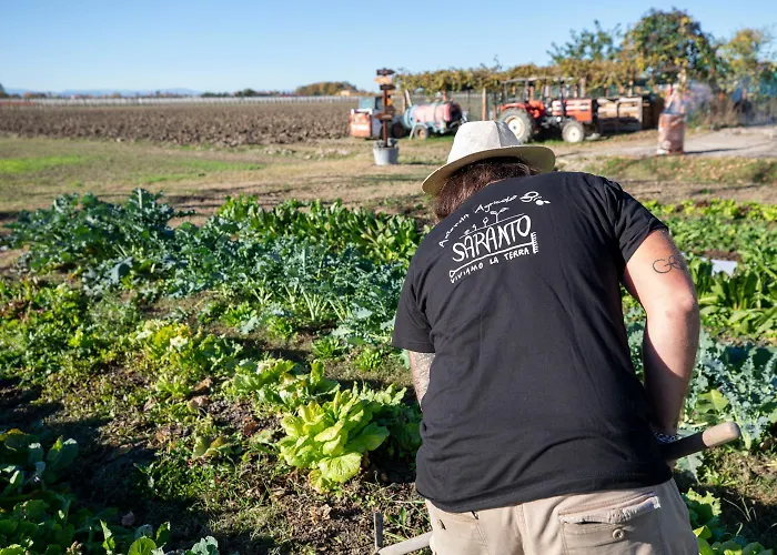 Saranto, Maison Du Charme - La Tua Oasi In Emilia Konukevi 3*
