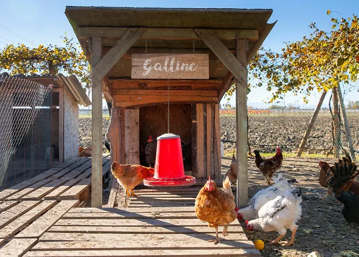 Konukevi Saranto, Maison Du Charme - La Tua Oasi In Emilia Carpi